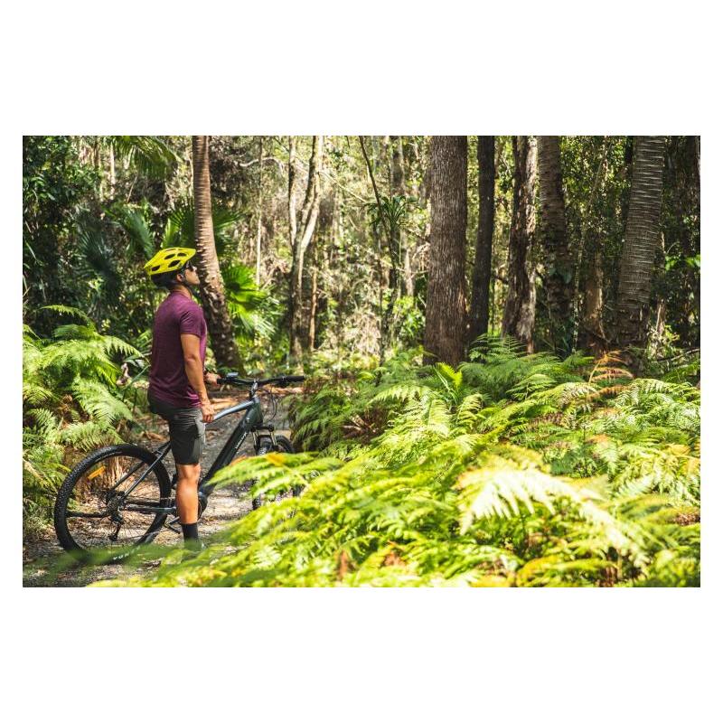 DEMO VelectriX Ascent Pulse Electric Mountain Bike Grey