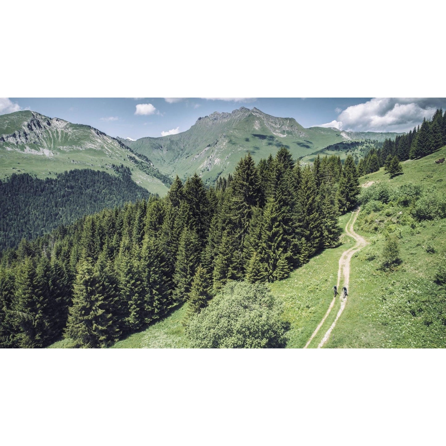 Cube Reaction Hybrid Race 625 Electric Hardtail Mountain Bike Olive 'n' Green