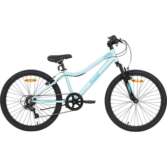Pedal Roar Steel 24'' Kids Bike Turquoise/Blue