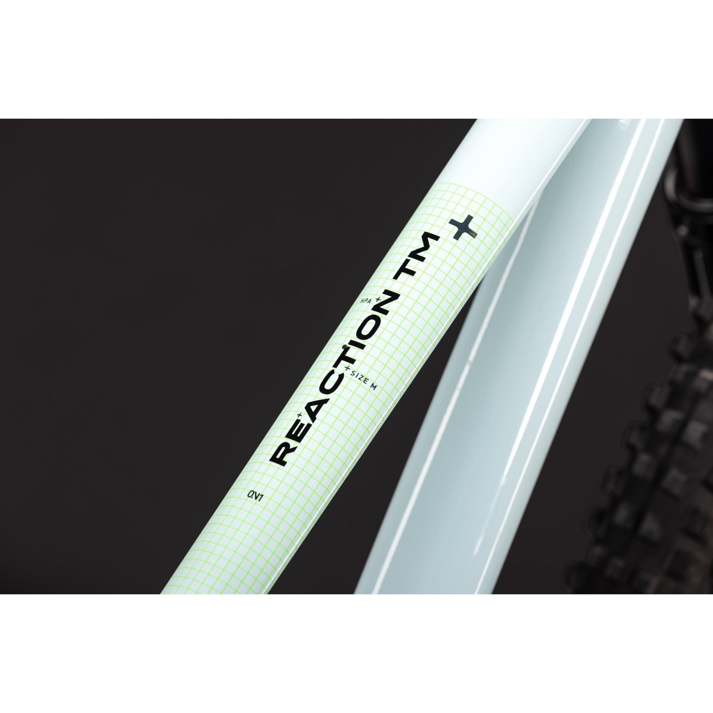 Cube Reaction TM ONE Hardtail Mountain Bike Kolibri'n'Black