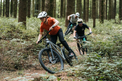 Mountain Bikes