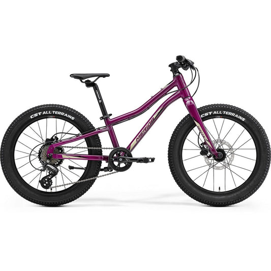 Merida Matts J. 20 Plus Disc 20'' Rigid Fork Kids Bike Purple Black/Champagne