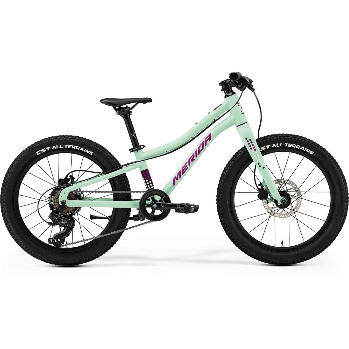Merida Matts J20+ 20'' Kids Bike Matte Mint/Purple