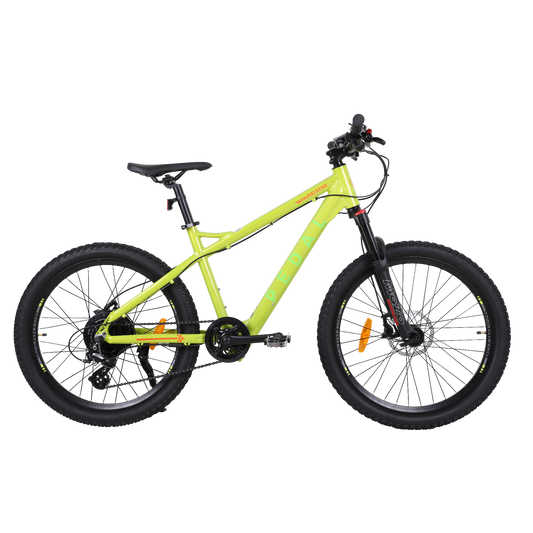 Pedal Warrior 24'' Electric Mountain Bike Green